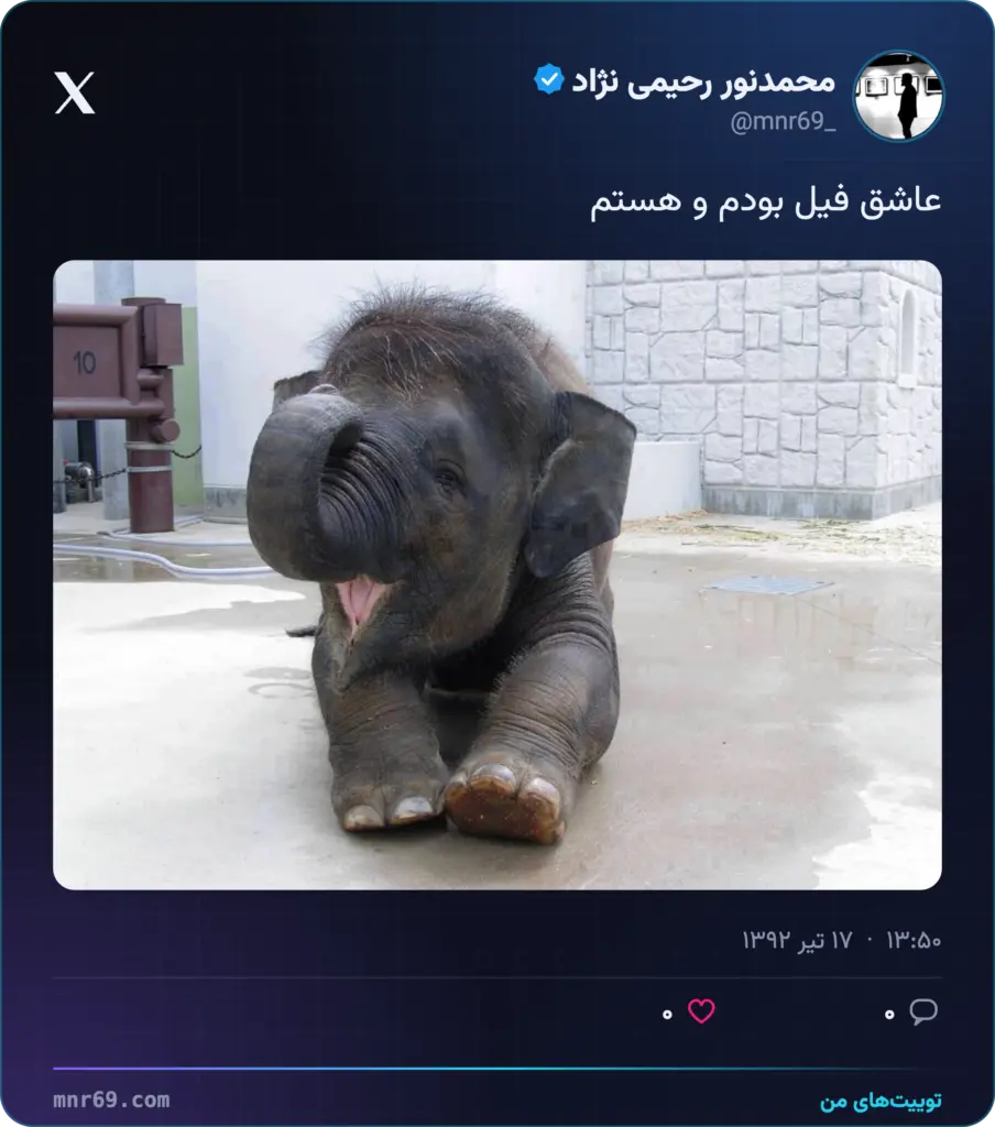 عاشق فیل بودم و هستم